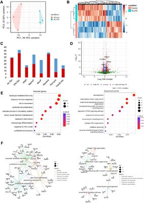 c-Myc Drives inflammation of the maternal-fetal interface, and neonatal lung remodeling induced by intra-amniotic inflammation